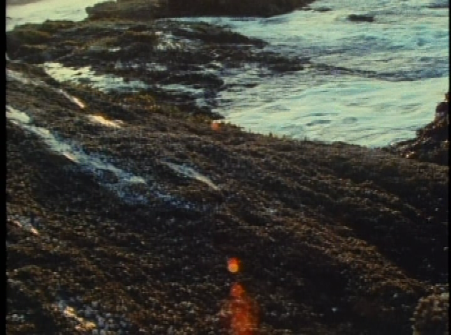 Thumbnail image for National Gallery: Winslow Homer