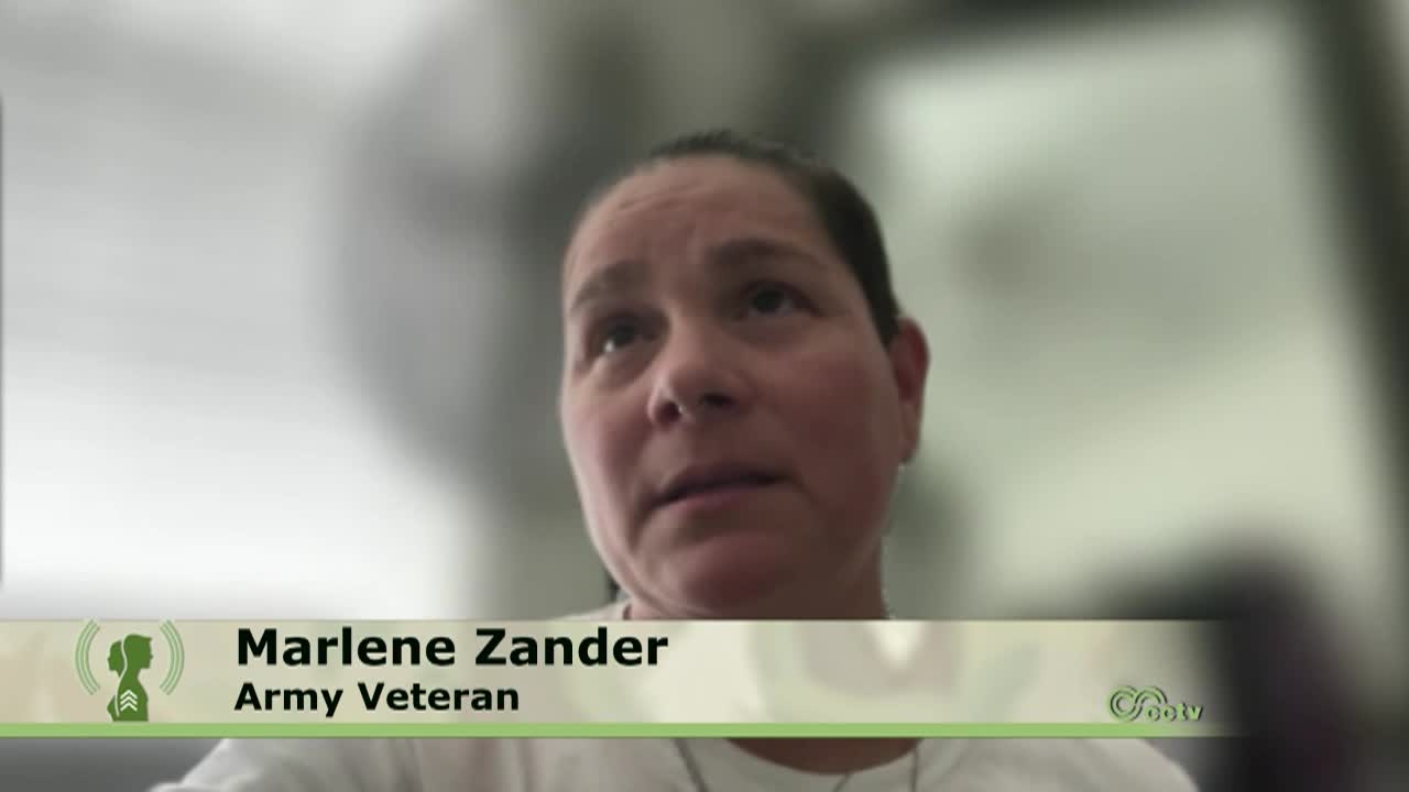 Thumbnail image for Veterans' Voices