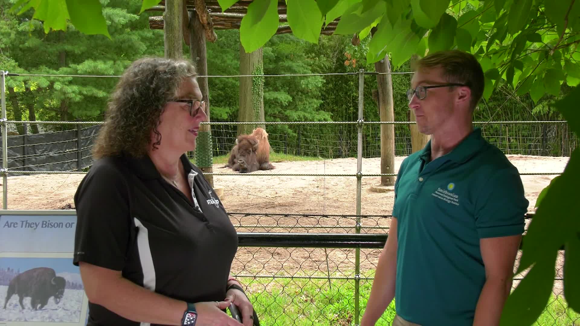 Thumbnail image for STEM in 30 - Animals Aloft Animals and the Aerospace Industry