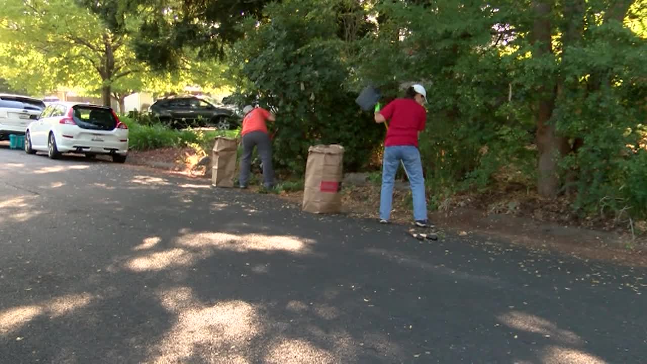 Thumbnail image for Pleasant Hill Community Service Day 2025