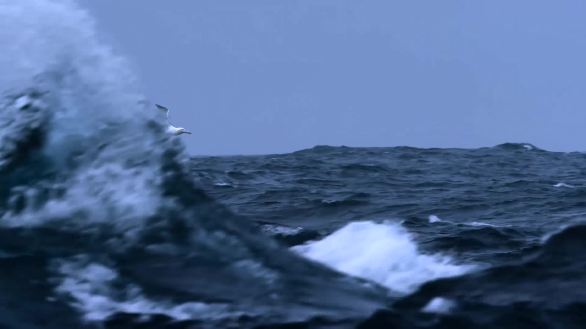 Thumbnail image for STEM in 30 - Birds Bats Bugs Brothers